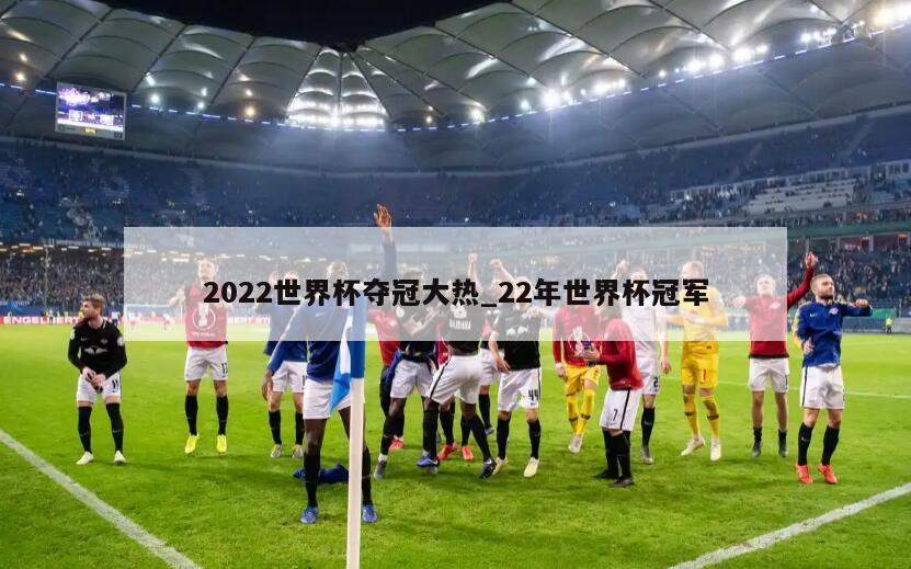 2022世界杯夺冠大热_22年世界杯冠军