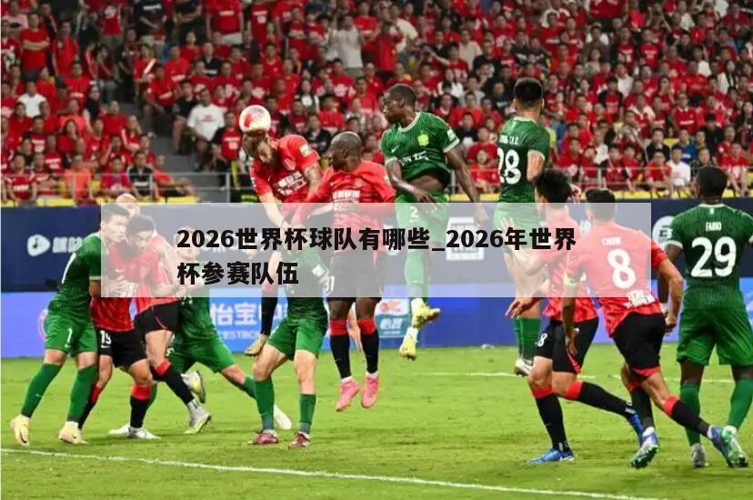 2026世界杯球队有哪些_2026年世界杯参赛队伍