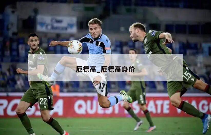 厄德高_厄德高身价