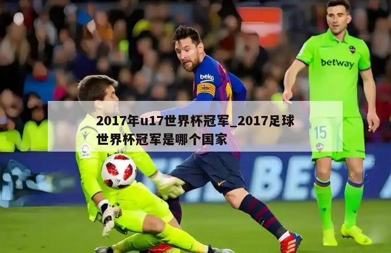 2017年u17世界杯冠军_2017足球世界杯冠军是哪个国家