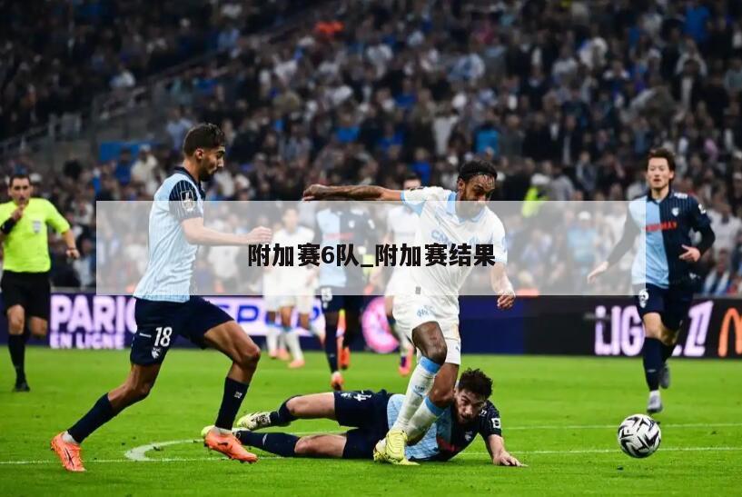 附加赛6队_附加赛结果