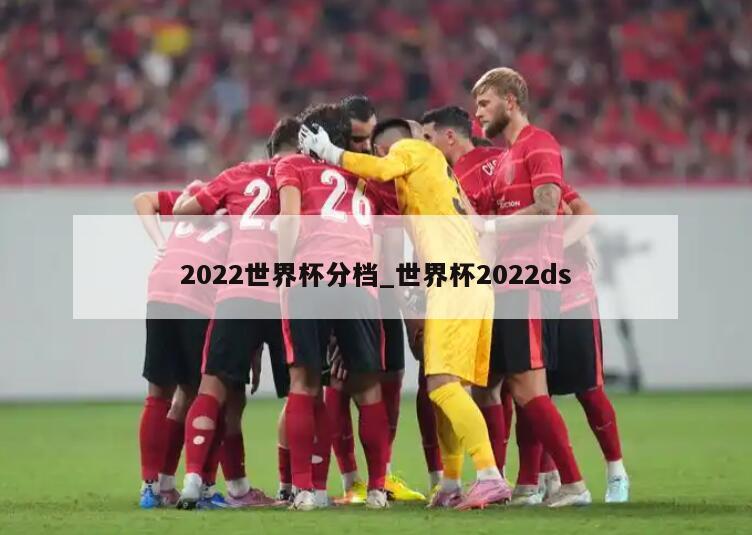 2022世界杯分档_世界杯2022ds