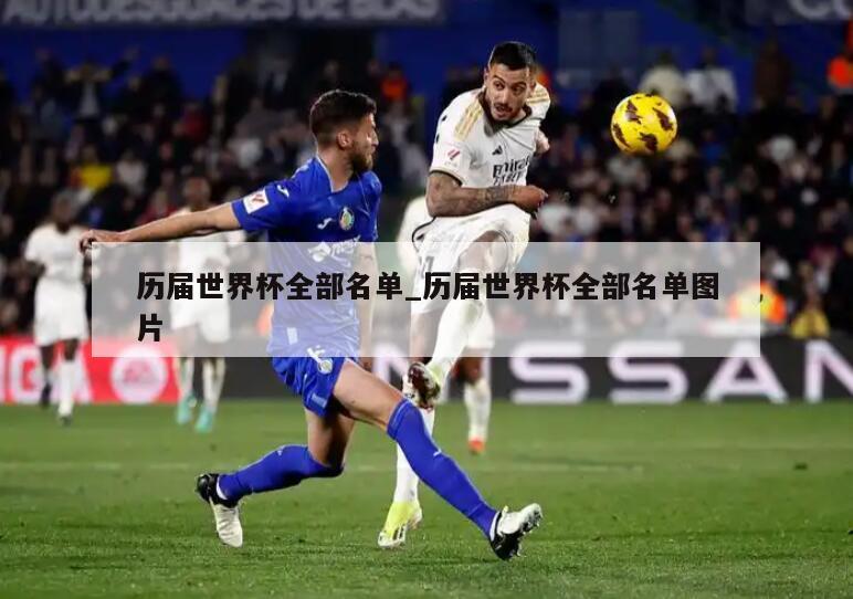 历届世界杯全部名单_历届世界杯全部名单图片