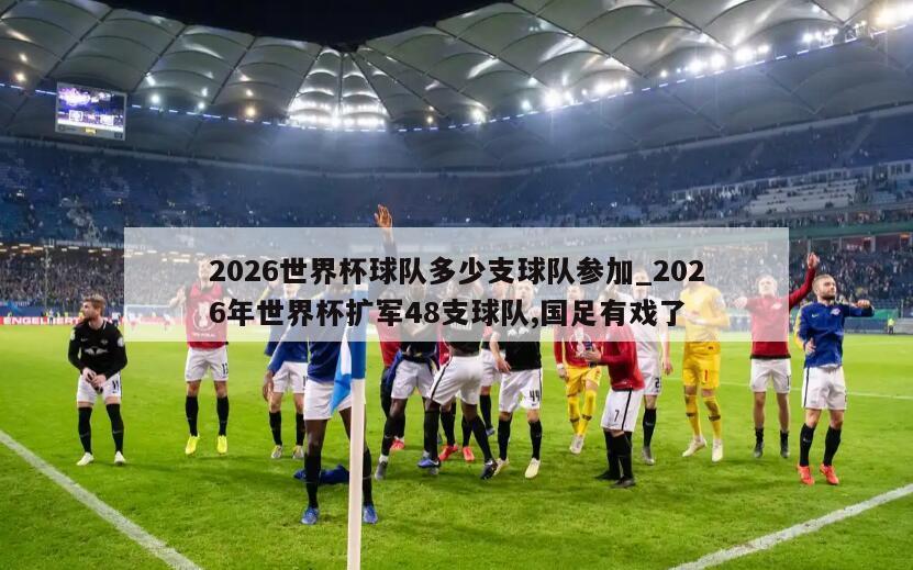 2026世界杯球队多少支球队参加_2026年世界杯扩军48支球队,国足有戏了