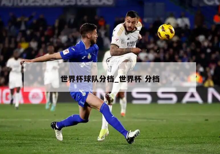 世界杯球队分档_世界杯 分档