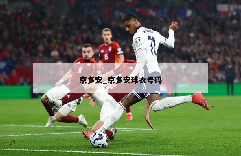 京多安_京多安球衣号码