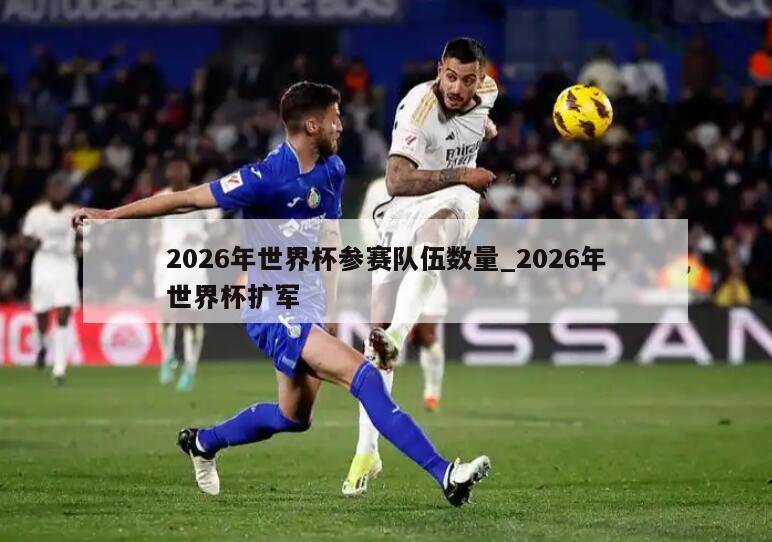2026年世界杯参赛队伍数量_2026年世界杯扩军