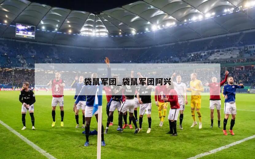 袋鼠军团_袋鼠军团阿兴