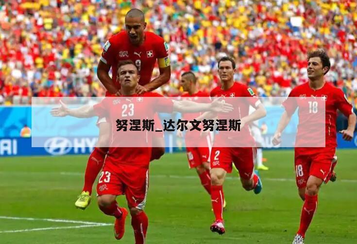 努涅斯_达尔文努涅斯