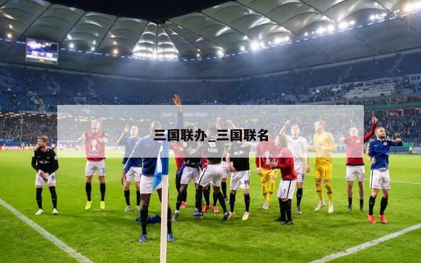 三国联办_三国联名