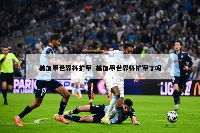 美加墨世界杯扩军_美加墨世界杯扩军了吗