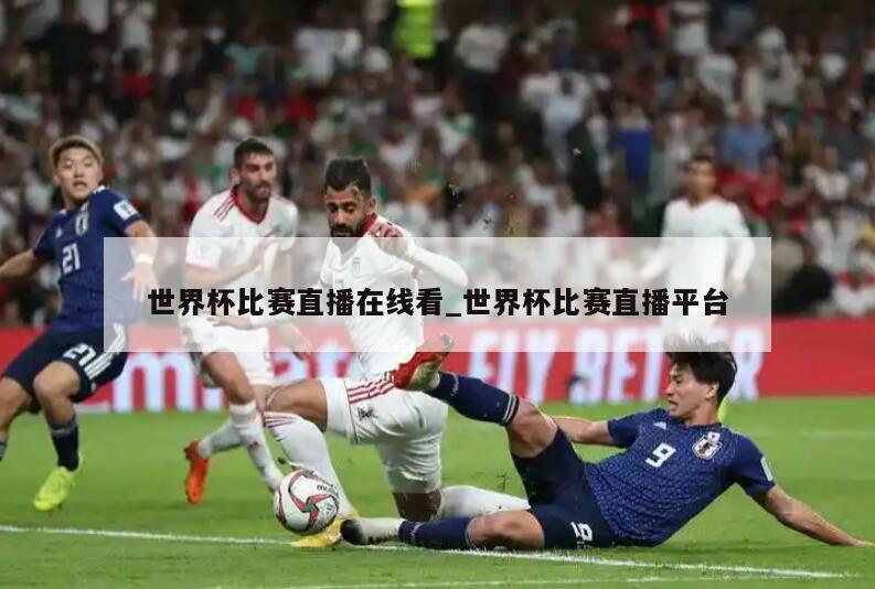 世界杯比赛直播在线看_世界杯比赛直播平台