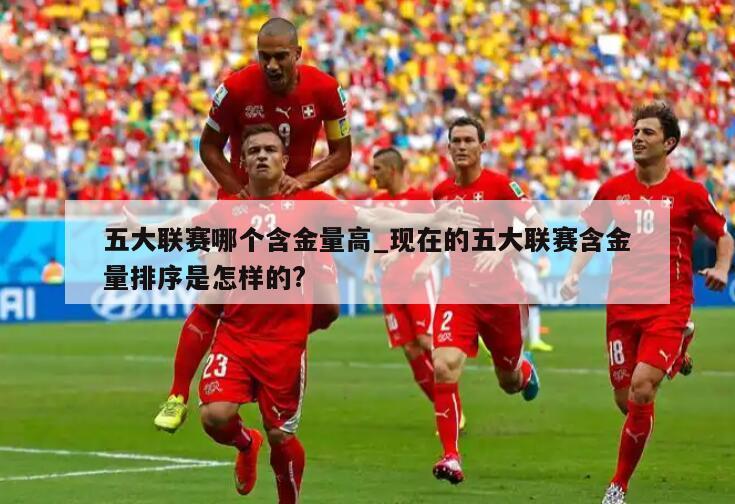 五大联赛哪个含金量高_现在的五大联赛含金量排序是怎样的?