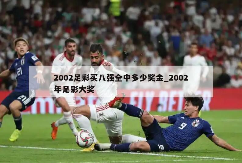 2002足彩买八强全中多少奖金_2002年足彩大奖