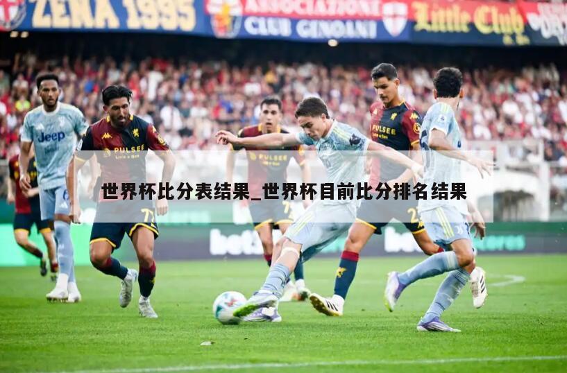 世界杯比分表结果_世界杯目前比分排名结果