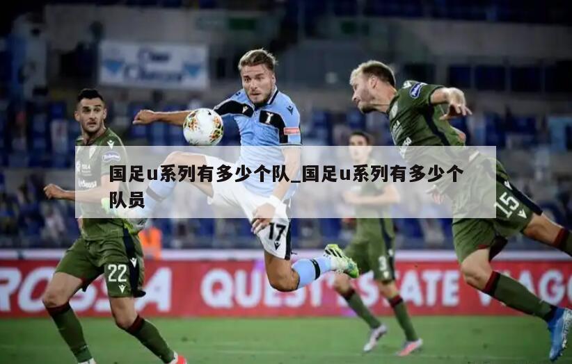 国足u系列有多少个队_国足u系列有多少个队员
