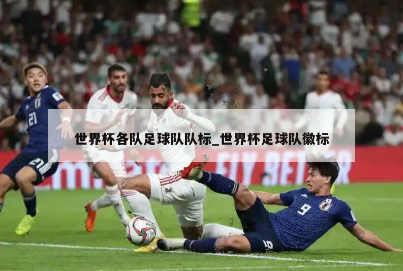 世界杯各队足球队队标_世界杯足球队徽标