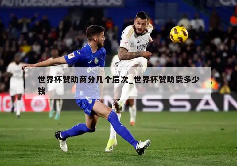 世界杯赞助商分几个层次_世界杯赞助费多少钱