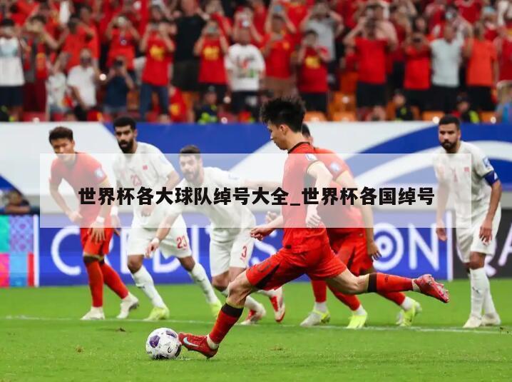 世界杯各大球队绰号大全_世界杯各国绰号