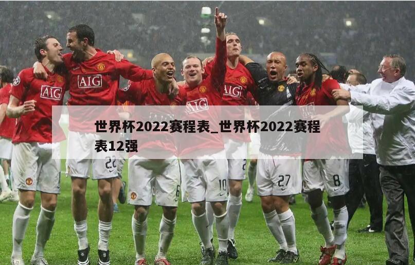 世界杯2022赛程表_世界杯2022赛程表12强
