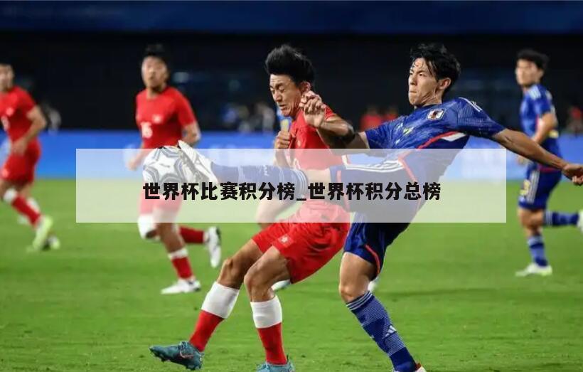 世界杯比赛积分榜_世界杯积分总榜