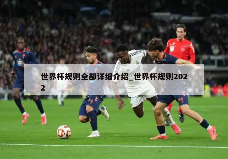 世界杯规则全部详细介绍_世界杯规则2022
