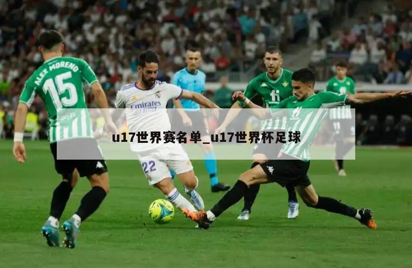 u17世界赛名单_u17世界杯足球