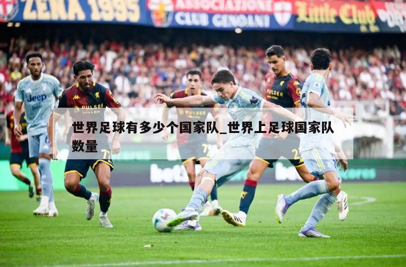 世界足球有多少个国家队_世界上足球国家队数量