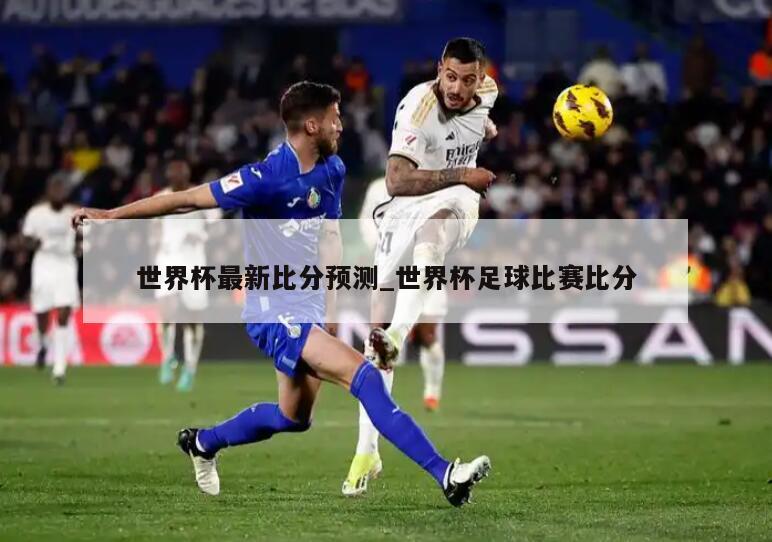 世界杯最新比分预测_世界杯足球比赛比分