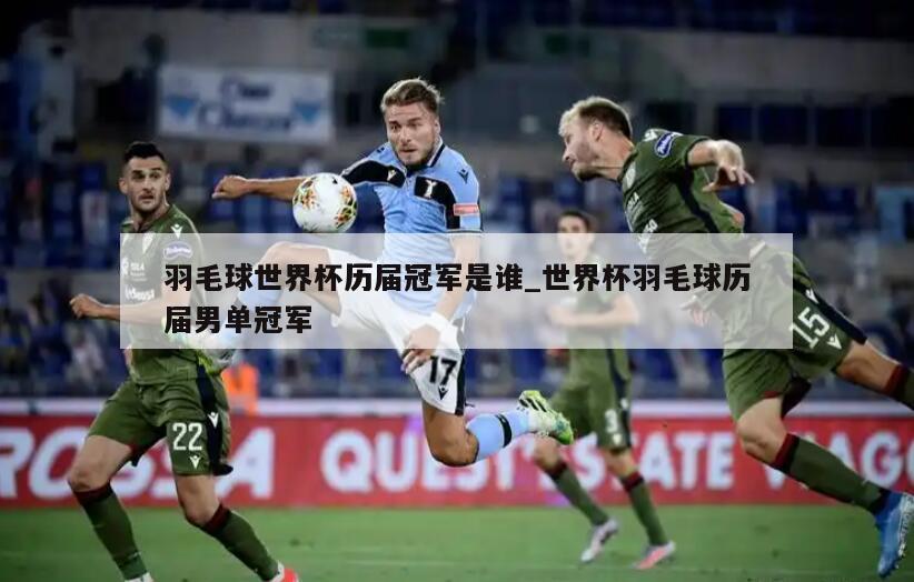 羽毛球世界杯历届冠军是谁_世界杯羽毛球历届男单冠军