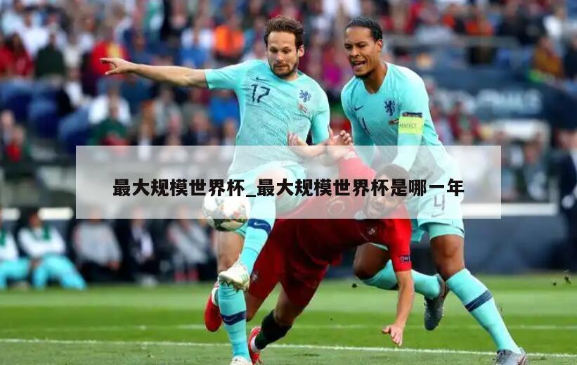 最大规模世界杯_最大规模世界杯是哪一年
