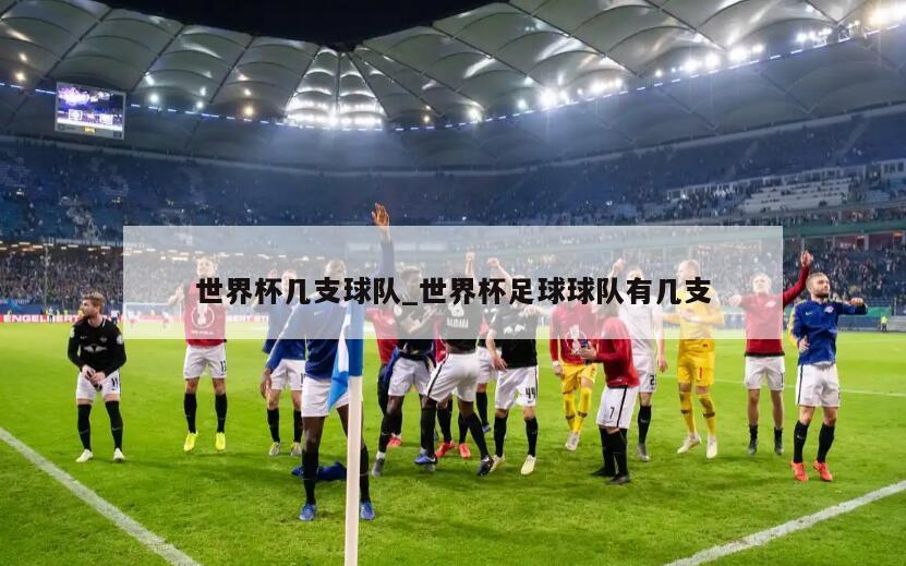世界杯几支球队_世界杯足球球队有几支