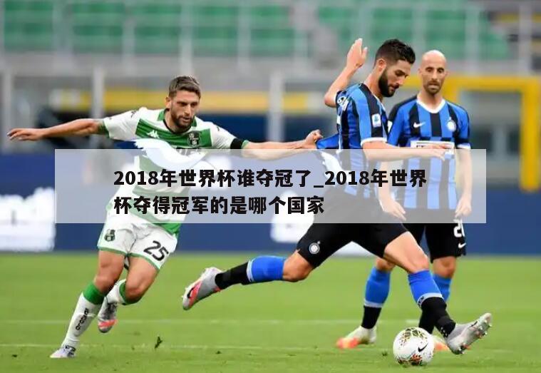 2018年世界杯谁夺冠了_2018年世界杯夺得冠军的是哪个国家