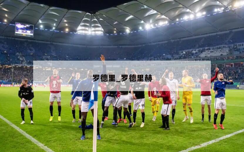 罗德里_罗德里赫