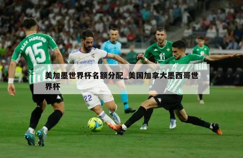 美加墨世界杯名额分配_美国加拿大墨西哥世界杯